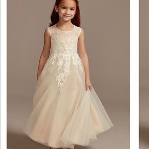 David’s Bridal Flower Girl Dress